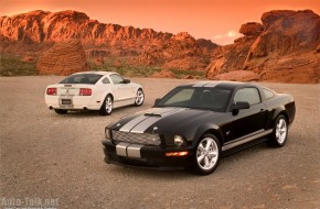 2007 Ford Shelby GT