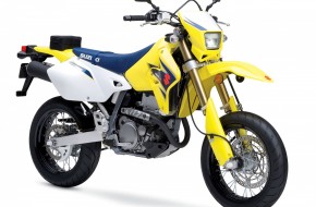 2007 Suzuki DualSport