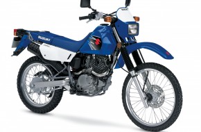 2007 Suzuki DualSport