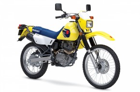 2007 Suzuki DualSport