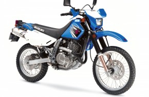 2007 Suzuki DualSport