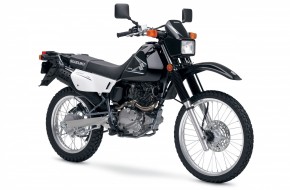 2008 Suzuki DualSport