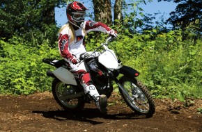 2009 Suzuki DR-Z125L