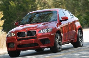 2010 BMW X6 M