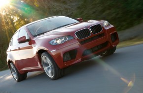 2010 BMW X6 M