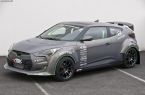 Performance ARK Veloster