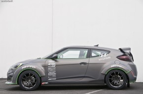 Performance ARK Veloster