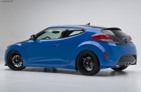 PM Lifestyle Veloster