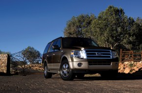 2008 Ford Expedition