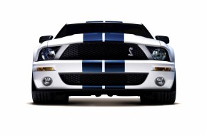 2008 Ford Shelby GT500