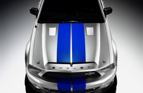 2008 Ford Shelby GT500