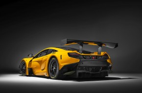 2016 McLaren 650S GT3