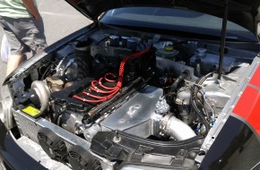 SoWo Presents EuroEx 2016