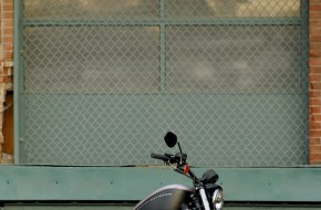 2007 Harley-Davidson Sportster  XL1200N