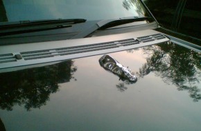 Range Rover Overfinch Spotted In India