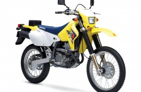 2007 Suzuki DualSport