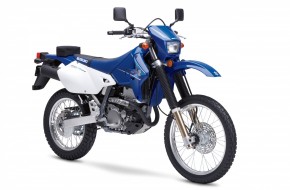 2008 Suzuki DualSport