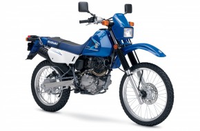2008 Suzuki DualSport