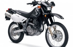 2008 Suzuki DualSport