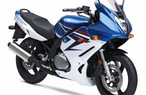 2008 Suzuki GS500F