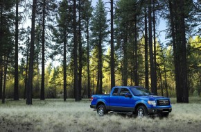 2009 Ford F-150