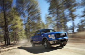 2009 Ford F-150