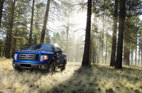 2009 Ford F-150
