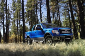 2009 Ford F-150