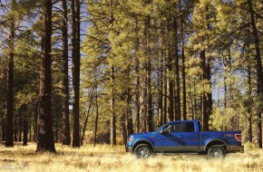 2009 Ford F-150
