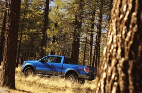 2009 Ford F-150