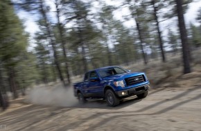 2009 Ford F-150