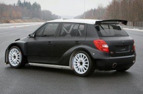 Skoda Fabia S2000