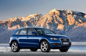 2009 Audi Q5