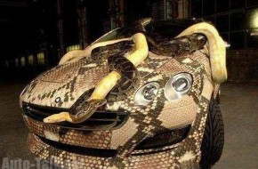Snake Mobile