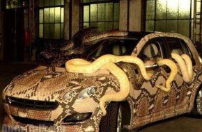 Snake Mobile