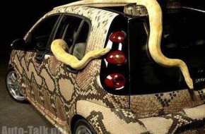 Snake Mobile