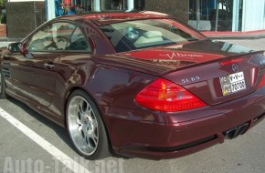 Hot Exotics in Dubai