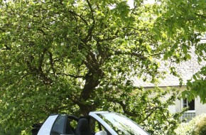 2008 Koenigseder Smart ForTwo