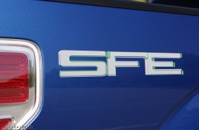 2009 Ford F-150 SFE