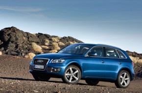 2009 Audi Q5