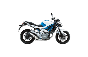 2009 Suzuki Gladius