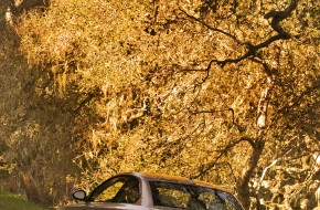 2010 BMW 1 Series Coupe