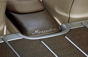 Mercedes-Benz CLS Shooting Break Concept