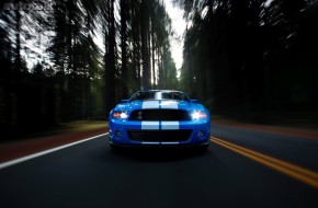 2010 Ford Shelby GT500 Mustang