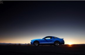 2010 Ford Shelby GT500 Mustang