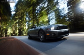 2010 Ford Shelby GT500 Mustang