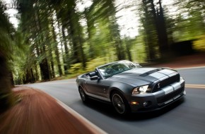 2010 Ford Shelby GT500 Mustang