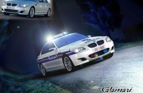 M5 Police Car Pictures