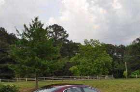 2010 Chevrolet Malibu Review