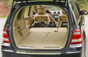 2010 Mercedes-Benz GL450